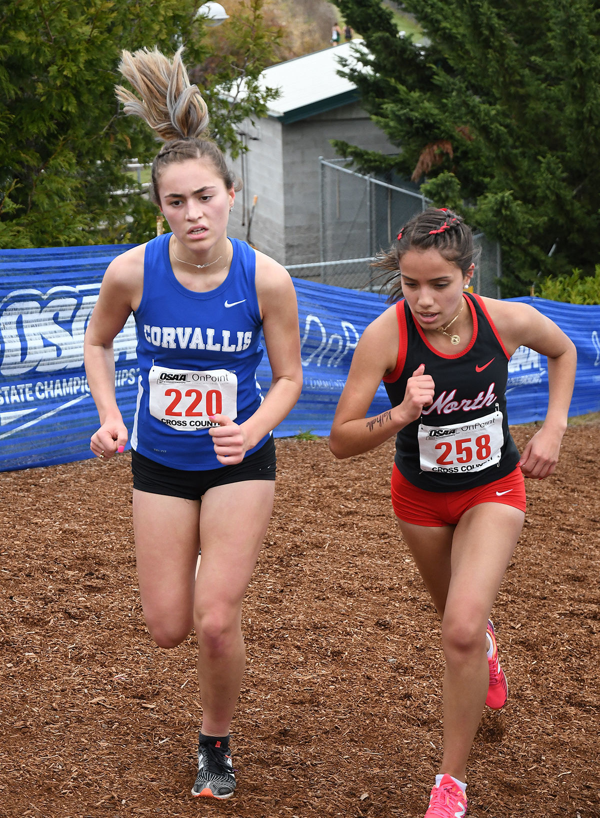 11-10-2019 5A Girls Cross Country 06.jpg